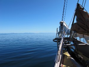 The schooner Trinovante ghosting along. The schooner Trinovante ghosting along.